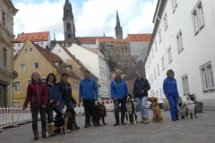 DSCN3769