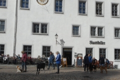 DSCN3773