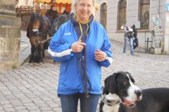 DSCN3785
