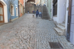 DSCN3789