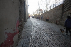 DSCN3791