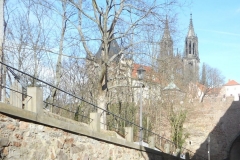 DSCN3792