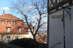 DSCN3793