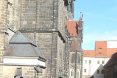 DSCN3809