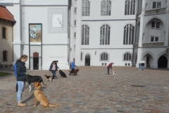 DSCN3823