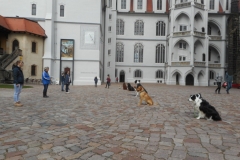 DSCN3826