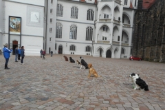 DSCN3827