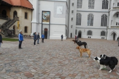 DSCN3828