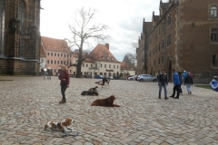 DSCN3829