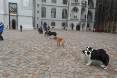 DSCN3832
