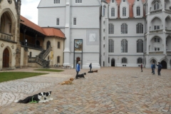 DSCN3833