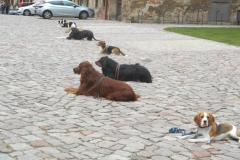 DSCN3836