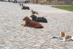 DSCN3837