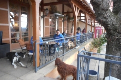 DSCN3839